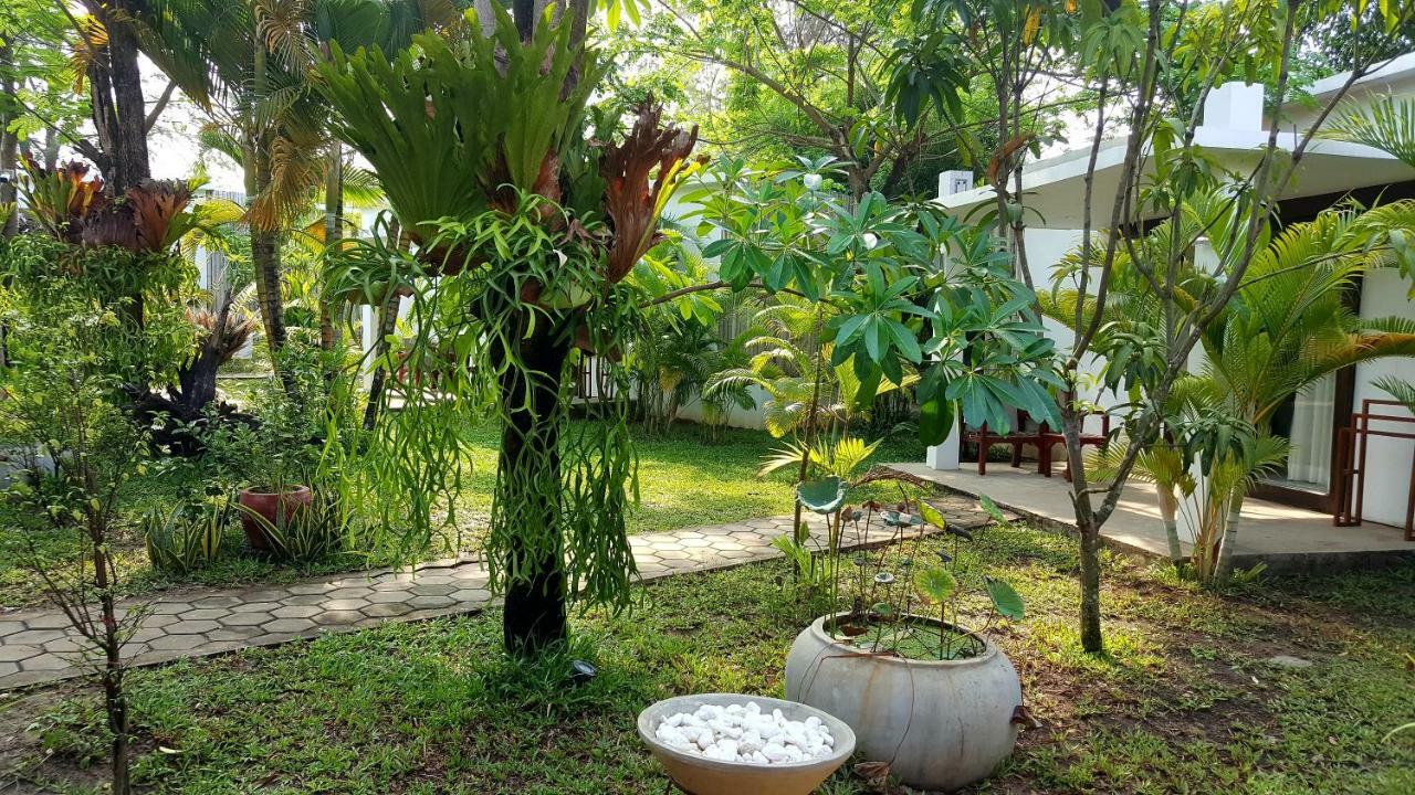 Sahaa Beach Resort سيهانوكفيل المظهر الخارجي الصورة